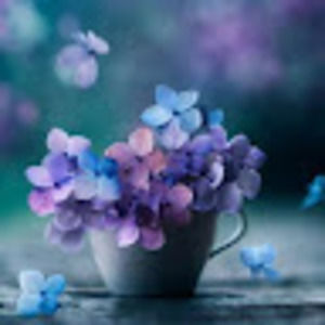 Meet your Posher, Aleisha